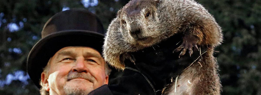 El Día de la Marmota - Groundhog Day. Una tradición con más de 133 años de historia.